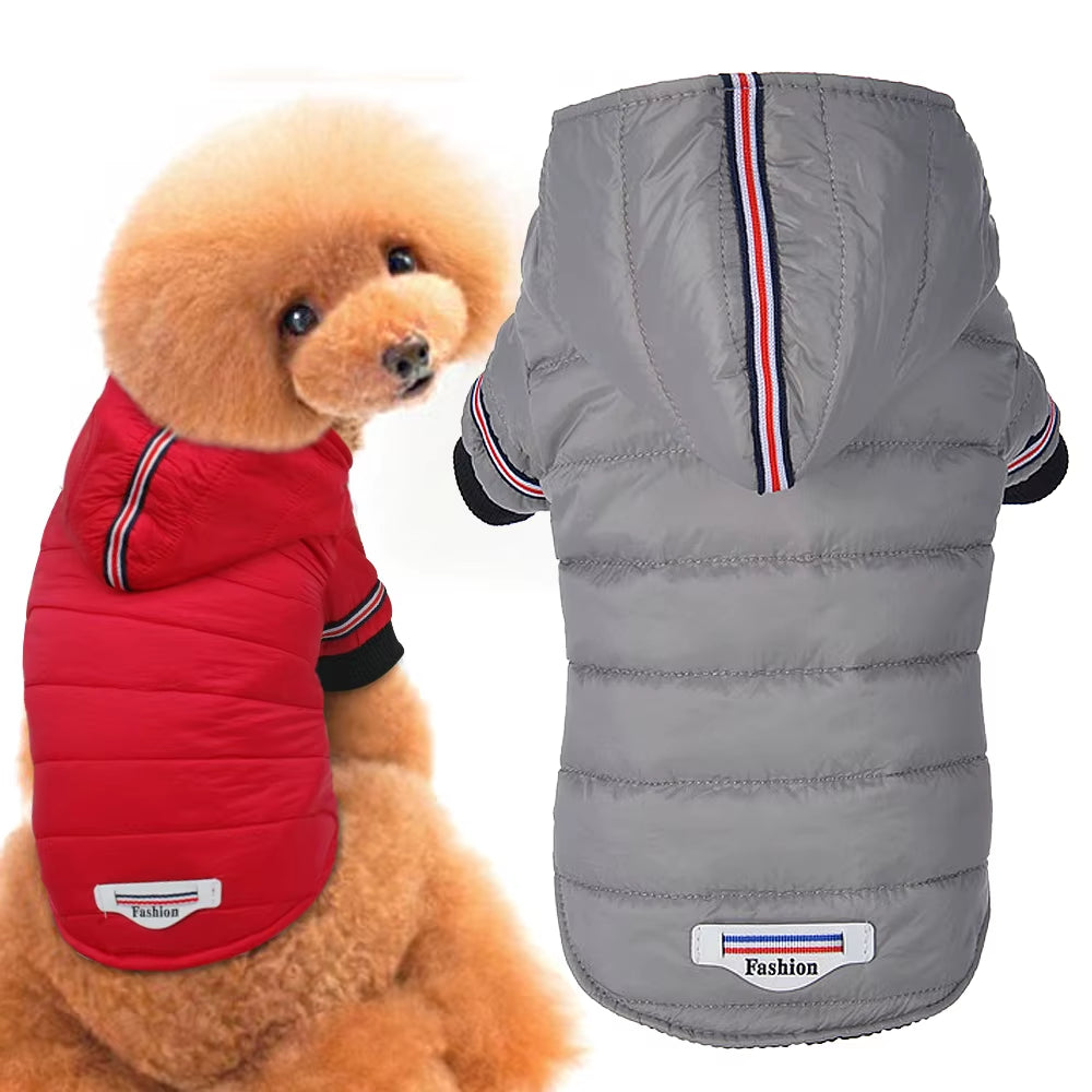 Small Dog Clothes Winter Chihuahua Clothing Pet Jacket and Coat Waterproof Ropa Para Perros for Small Medium Dog Red