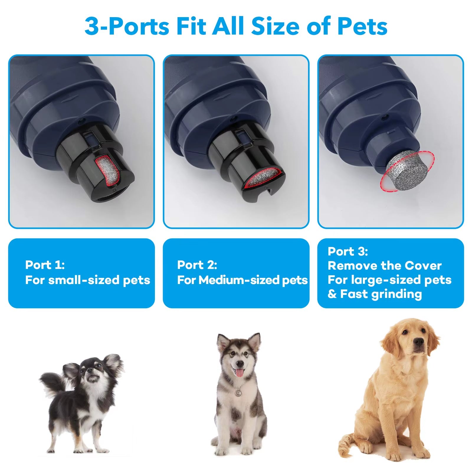 PAWSUNDAY Dog Nail Grinder with 2 LED Light 8000-10000 RPM Powerful Electric Pet Nail Trimmer for Dog Cat and Small Animal